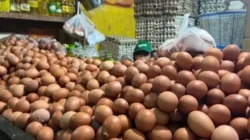 Harga Acuan Ayam dan Telur Naik, Pedagang Pasar Khawatir Pembeli Makin Sepi