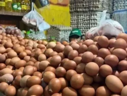 Harga Acuan Ayam dan Telur Naik, Pedagang Pasar Khawatir Pembeli Makin Sepi