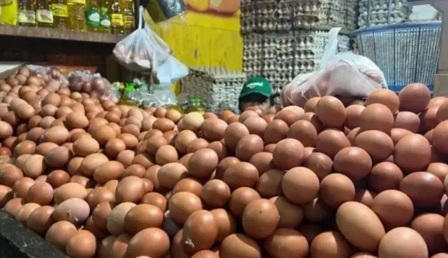Harga Acuan Ayam dan Telur Naik, Pedagang Pasar Khawatir Pembeli Makin Sepi 1 20260309 1511 screenshot 99