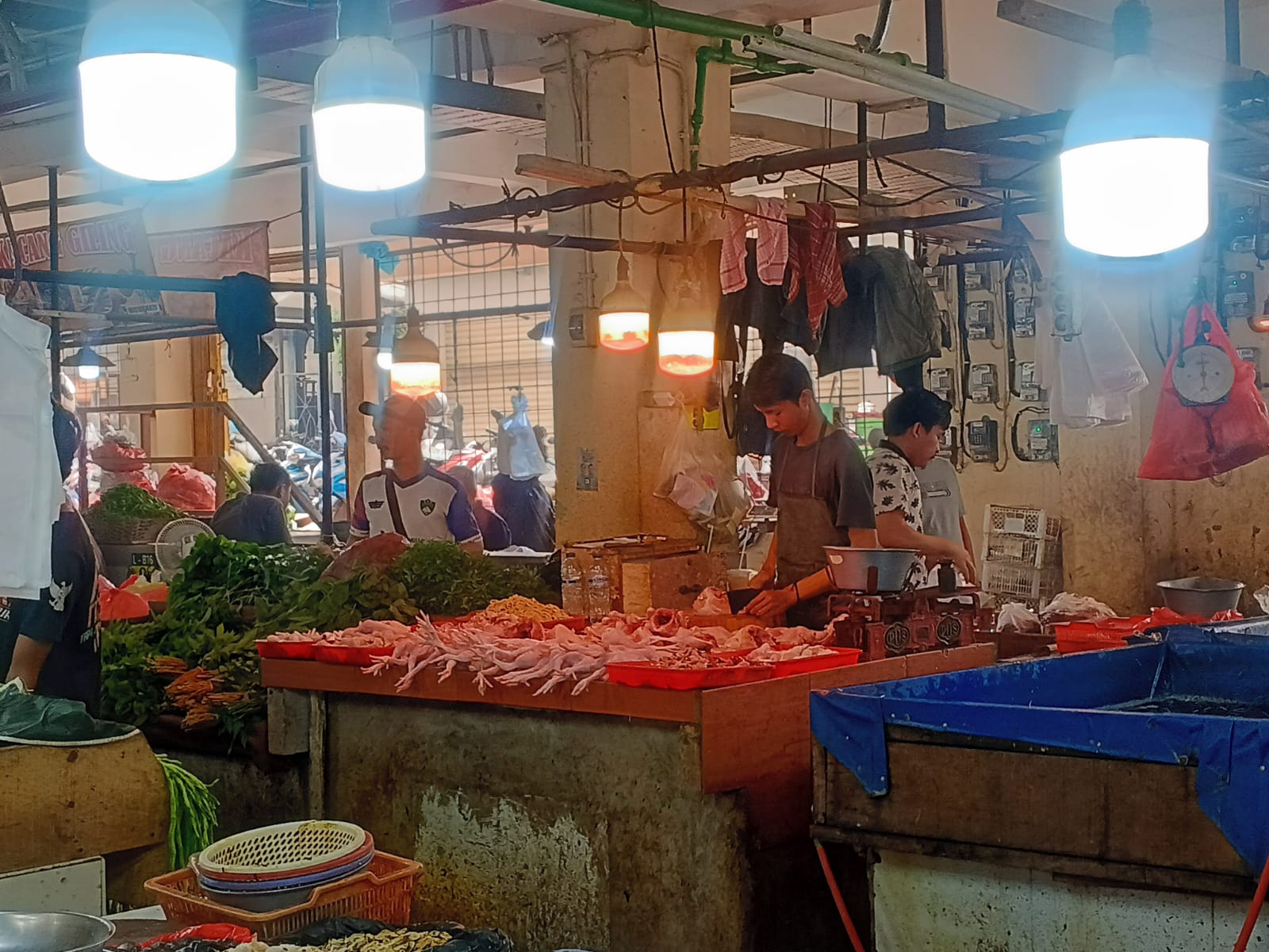 Dapur SPPG Libur, Harga Ayam dan Telur di Pasar Jambu Dua Bogor Turun Drastis 1 WhatsApp Image 2026 07 03 at 17.07.19