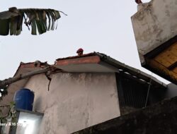 Pohon Kicopong Tumbang Timpa Rumah Warga di Cilendek Barat