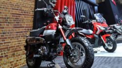 Di Tengah Lesunya Pasar Motor, Honda Tetap Andalkan Segmen Motor Hobi Lewat Monkey Baru