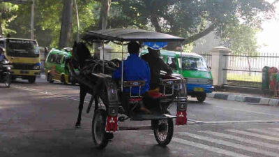 images 27