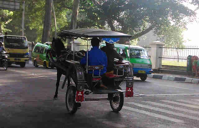Bertahan di Tengah Transportasi Modern, Kusir Delman Bogor Jalani Profesi Demi Kemandirian 1 images 27