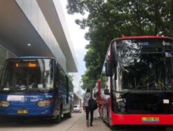 Jangan Salah Bayar! Ini Perbedaan Halte BRT dan Non-BRT TransJakarta