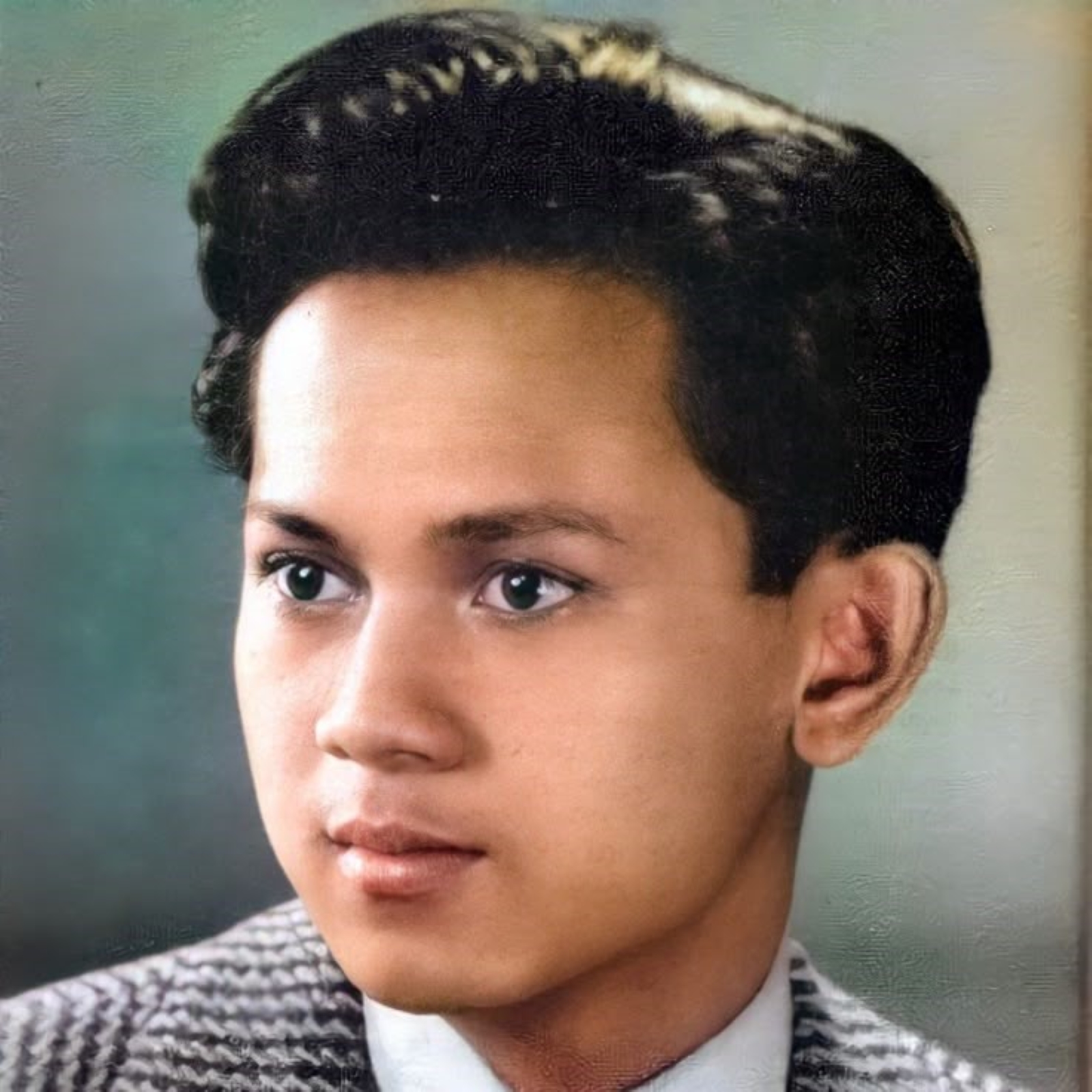 IQ B.J. Habibie Disebut 200, Ini Profil dan Jejak Prestasinya 2 BJ HABIBIE