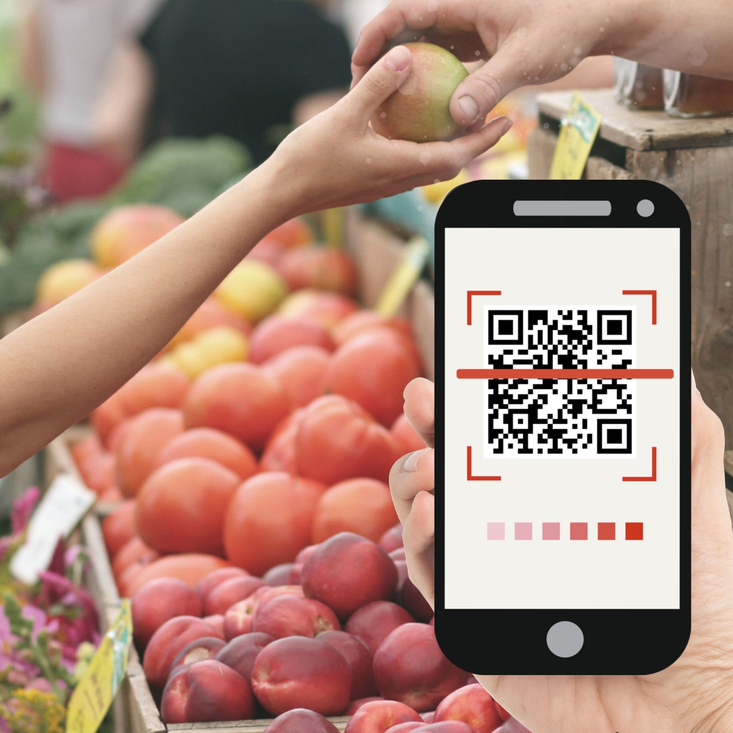 QRIS Dorong UMKM Makin Melek Teknologi Pembayaran Digital 1 Dinews foto 6 scaled