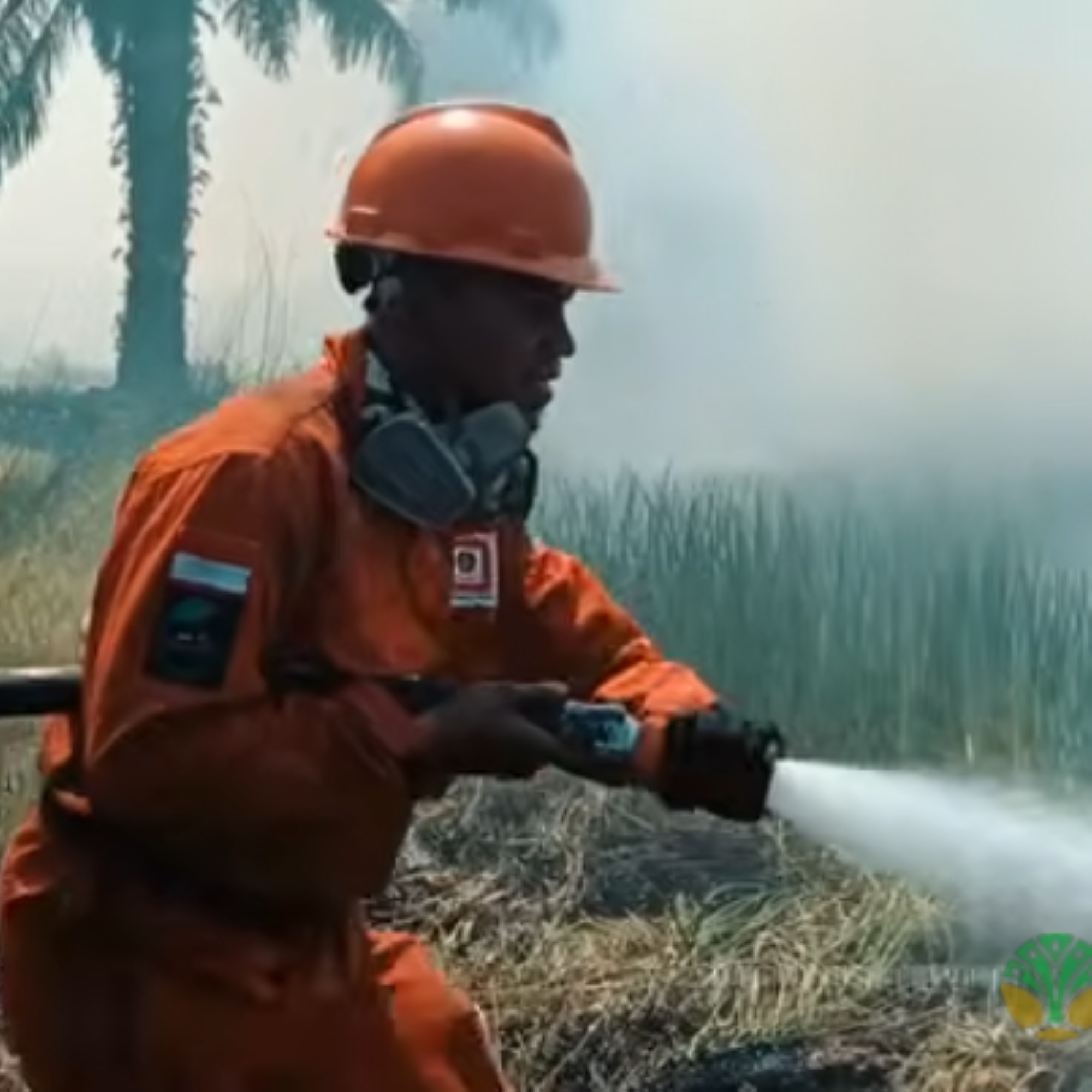 372 Hotspot Karhutla Terdeteksi, Habitat Orangutan Terancam 2 Screenshot 2026 10 15 155102
