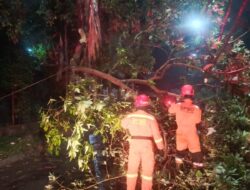 Dahan Pohon Patah di Tanah Sareal, Akses Jalan Sempat Tertutup