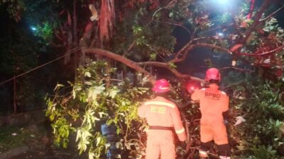 Dahan Pohon Patah di Tanah Sareal, Akses Jalan Sempat Tertutup