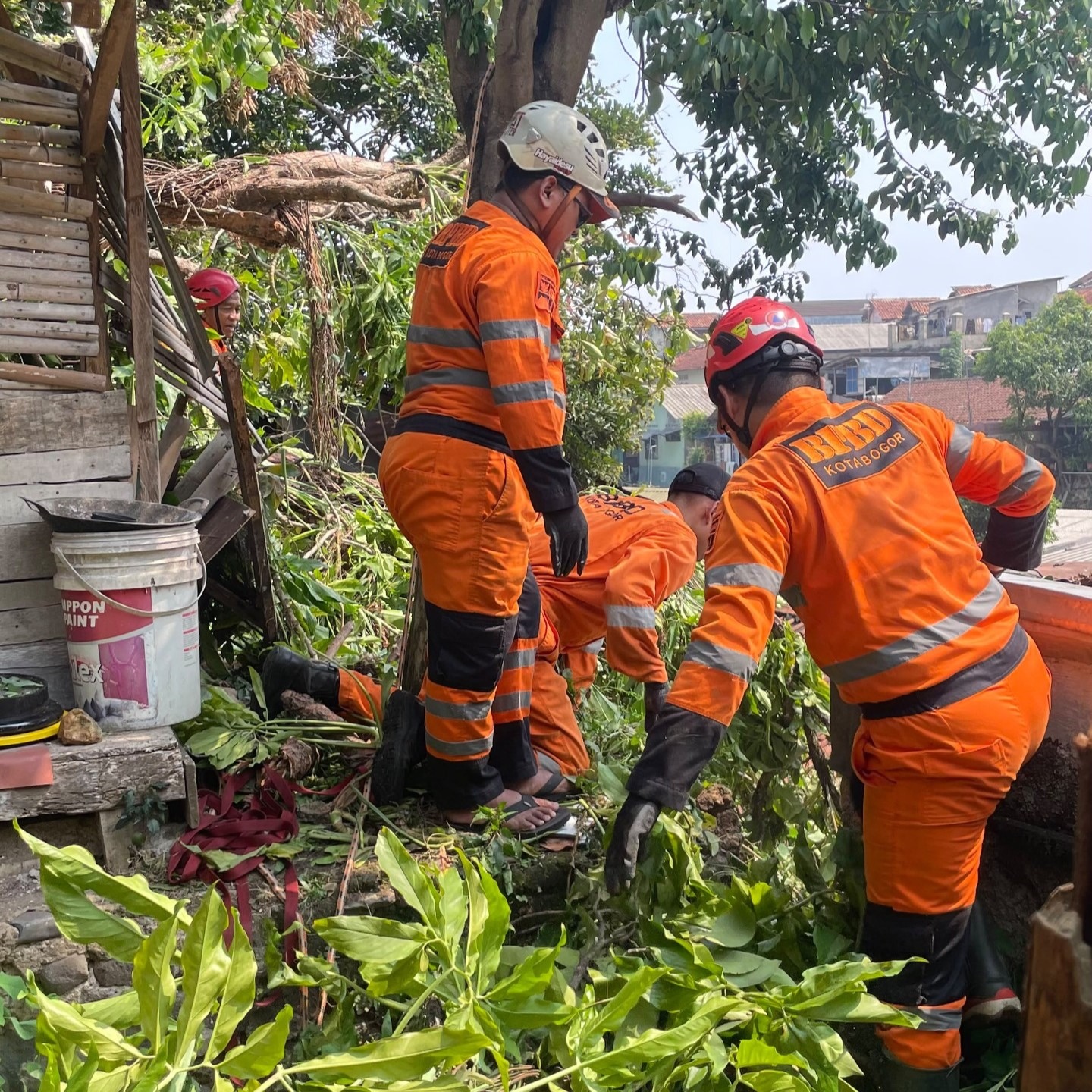 Hujan Deras Picu Pohon Jambu 10 Meter Tumbang Timpa Saung 1 WhatsApp Image 2026 10 07 at 13.50.08