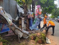Pohon Lapuk Tumbang Timpa Warung Warga di Pandu Raya Bogor