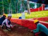 Trase Batutulis Bukan Spot Wisata, Ini Fokus Utamanya