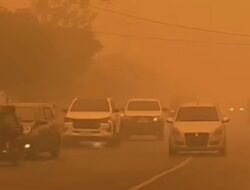 Karhutla Meluas di Indonesia, Guru Besar IPB Ungkap Dampak Asap hingga Ancaman Silent Killer