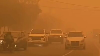 Kebakaran hutan dan lahan yang mengancam kualitas udara, keanekaragaman hayati, dan ekosistem di Indonesia.