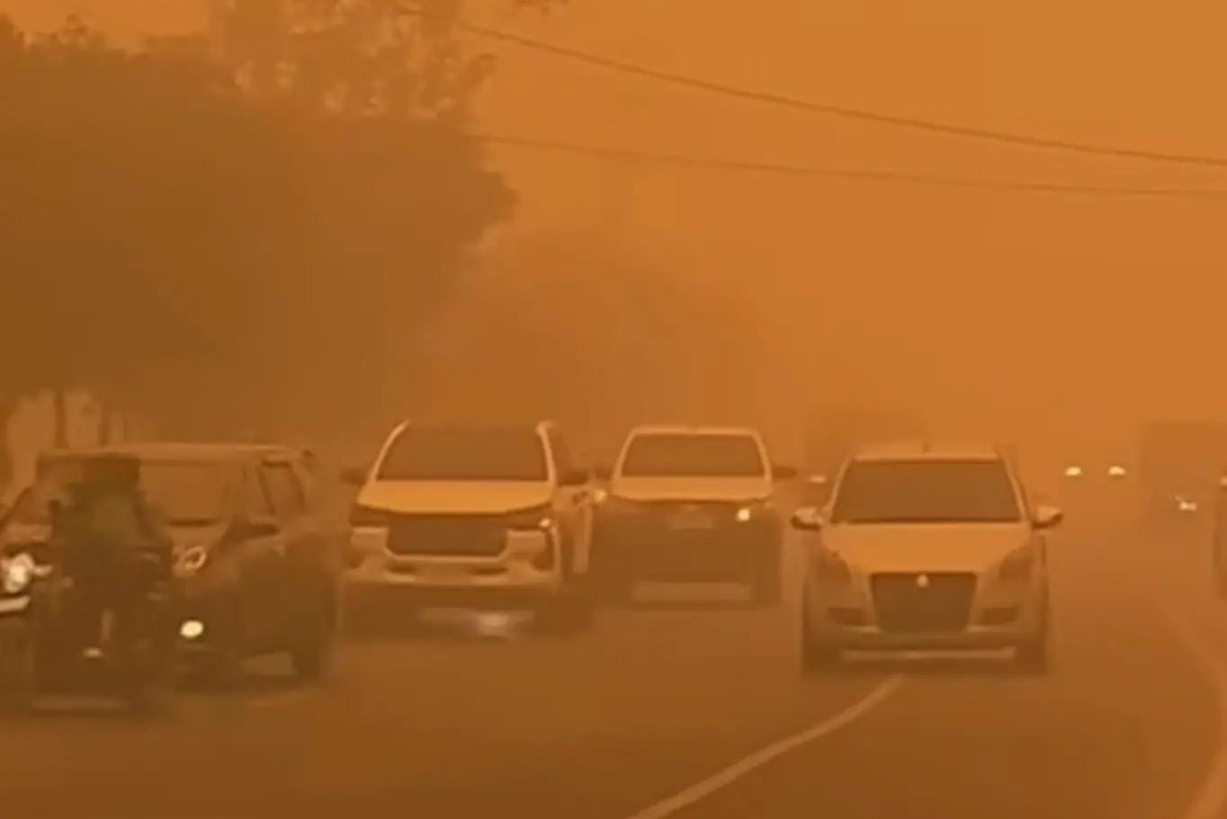 Kebakaran hutan dan lahan yang mengancam kualitas udara, keanekaragaman hayati, dan ekosistem di Indonesia.