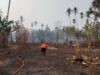 7 Hektare Lahan Terbakar di 3 Provinsi, BNPB Ingatkan Ancaman Karhutla