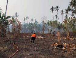 7 Hektare Lahan Terbakar di 3 Provinsi, BNPB Ingatkan Ancaman Karhutla