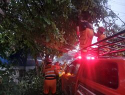 Hujan Angin di Bogor Utara, Dahan Kedondong Patah Ganggu Jalan ke Talang