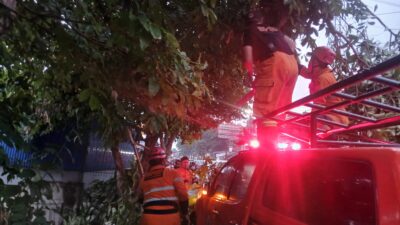 Hujan Angin di Bogor Utara, Dahan Kedondong Patah Ganggu Jalan ke Talang