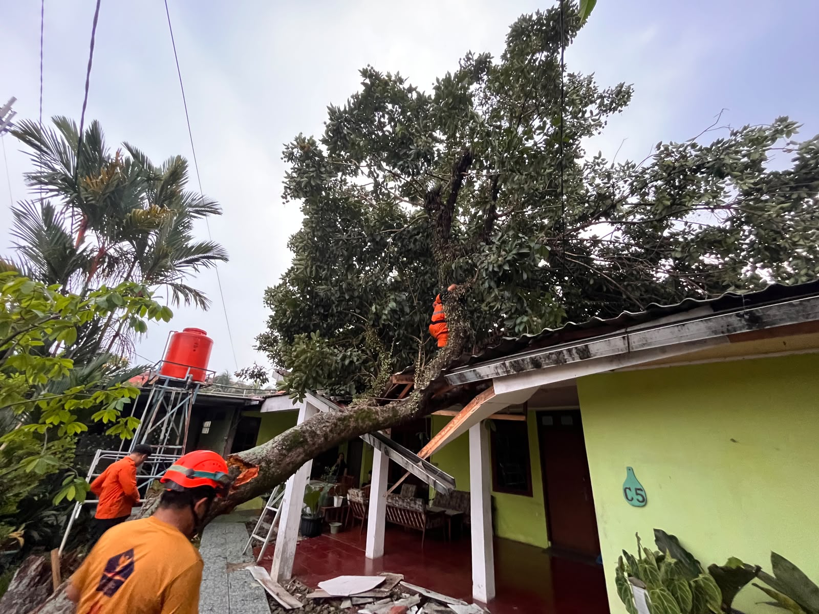 Petugas BPBD Kota Bogor mengevakuasi pohon rambutan lapuk yang tumbang dan menimpa teras rumah warga di Kampung Babakan, Bogor Tengah.