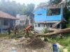 Pohon Petai Lapuk Tumbang Timpa Toilet Pesantren di Bogor