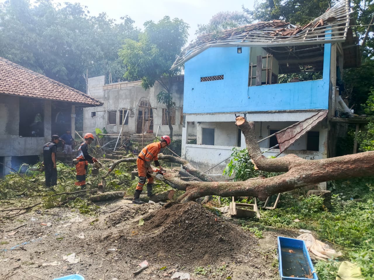 Pohon Petai Lapuk Tumbang Timpa Toilet Pesantren di Bogor 1 Petugas gabungan mengevakuasi pohon petai tumbang yang menimpa bangunan toilet Pesantren Rodiatul Akbar di Cimahpar, Bogor.