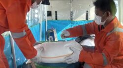 BMKG Tabur 4 Ton Garam, Modifikasi Cuaca Digelar untuk Tekan Polusi Jakarta