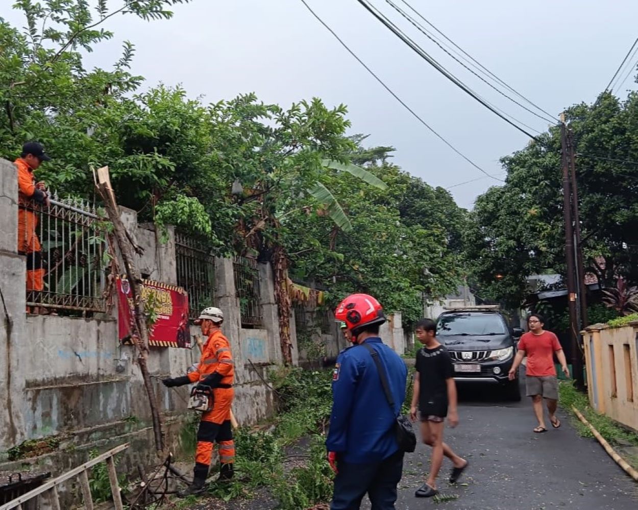 Petugas BPBD dan Damkar menangani pohon kari tumbang yang menimpa kabel PJU dan kabel optik di Jalan Seruni, Kelurahan Loji, Kota Bogor.