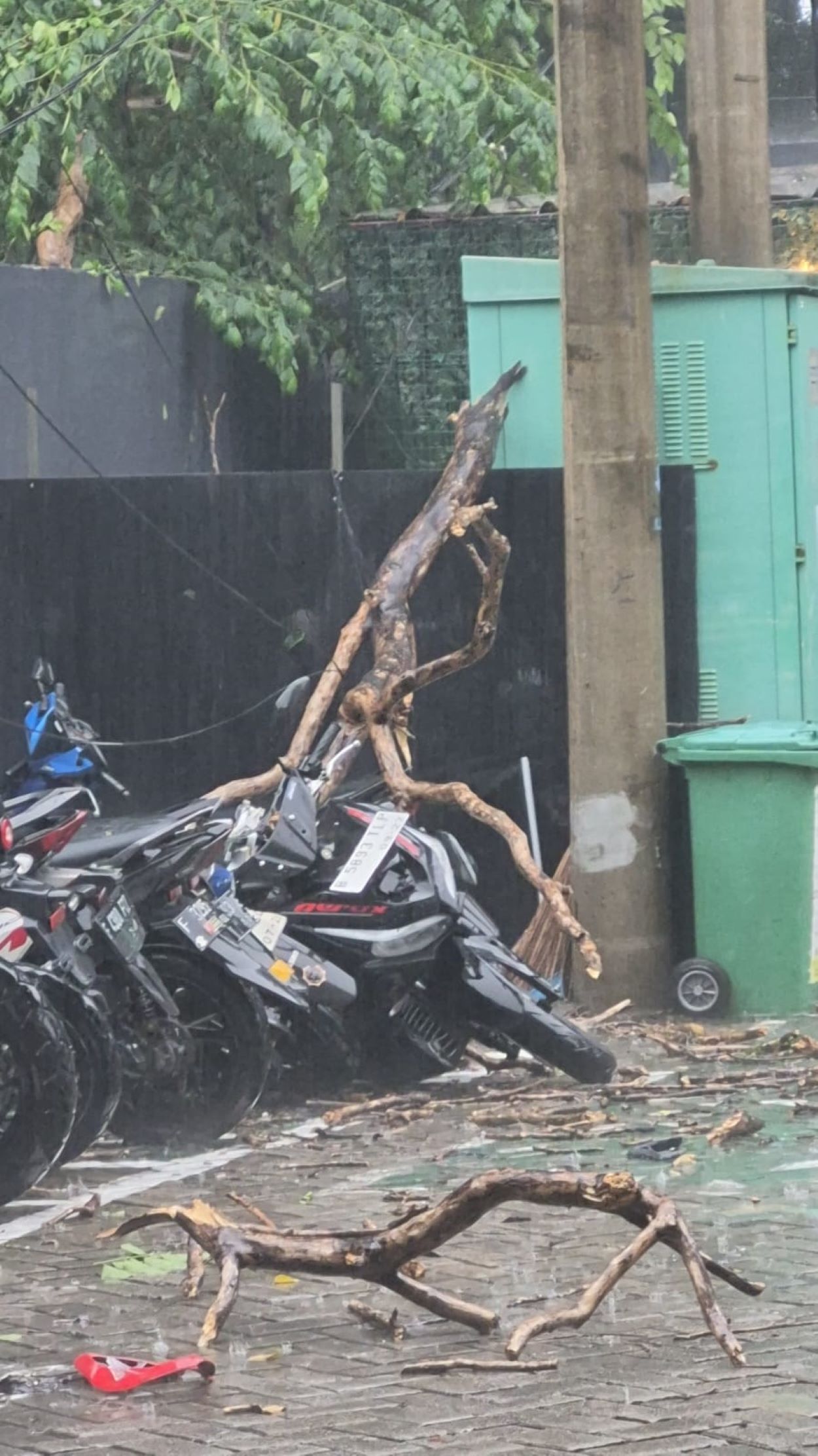 Pohon Tumbang di Pajajaran Bogor Timpa Mobil dan Motor 2 WhatsApp Image 2026 10 28 at 16.51.36