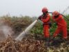 372 Hotspot Karhutla Terdeteksi, Habitat Orangutan Terancam