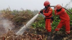 372 Hotspot Karhutla Terdeteksi, Habitat Orangutan Terancam