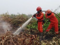 372 Hotspot Karhutla Terdeteksi, Habitat Orangutan Terancam