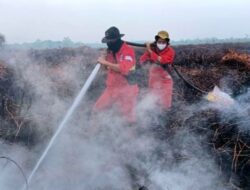 Hotspot Karhutla Turun Drastis Jadi 147 Titik, Hujan Mulai Bantu Pemadaman