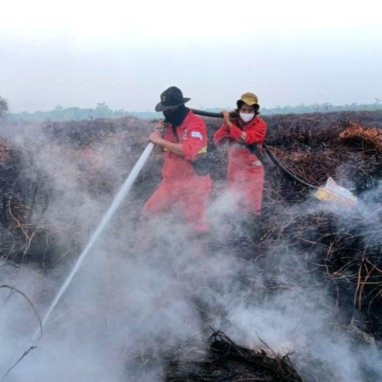 medium IMG 20261026 212430 c85232a311
