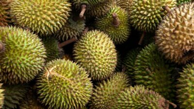 Jangan Sampai Zonk! Ini 5 Cara Memilih Durian Matang dan Enak