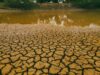 El Niño Picu Kekeringan, Kenali Dampak dan Cara Menghadapinya