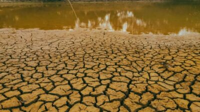 El Niño Picu Kekeringan, Kenali Dampak dan Cara Menghadapinya