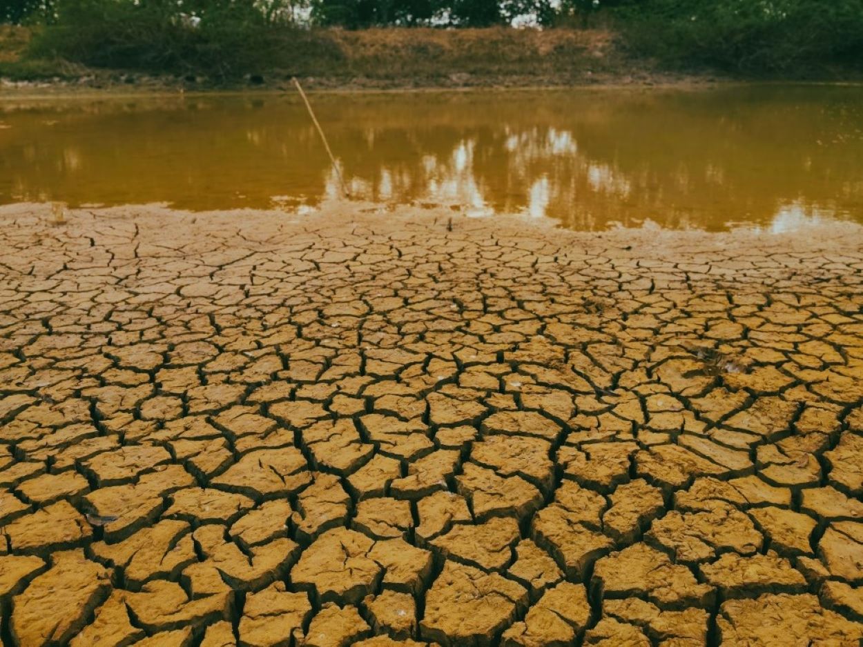 Kondisi lahan kering yang berisiko mengalami kekurangan air saat fenomena El Niño