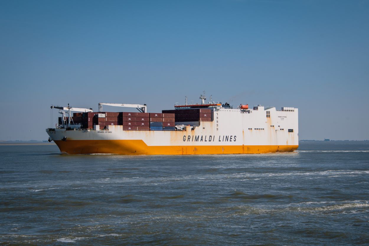 pexels dendoktoor 9536050