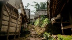 4 Potensi Wisata Berbasis Edukasi Lingkungan, Cara Baru Menikmati Liburan Ramah Alam