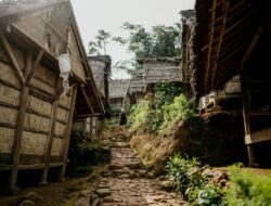 4 Potensi Wisata Berbasis Edukasi Lingkungan, Cara Baru Menikmati Liburan Ramah Alam