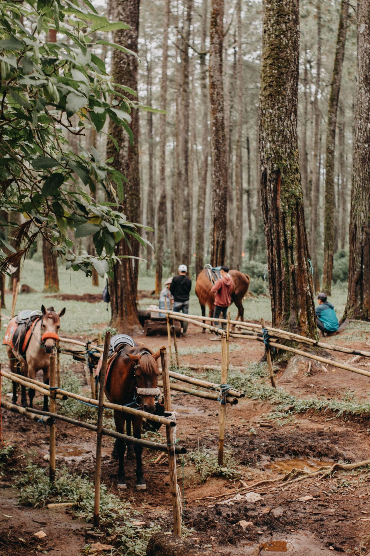 pexels teguhsugi 6903934