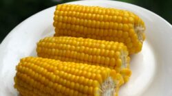 Ungkap Manfaat Jagung Rebus sebagai Camilan Sehat
