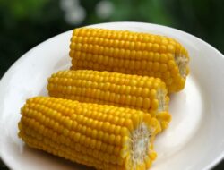Ungkap Manfaat Jagung Rebus sebagai Camilan Sehat